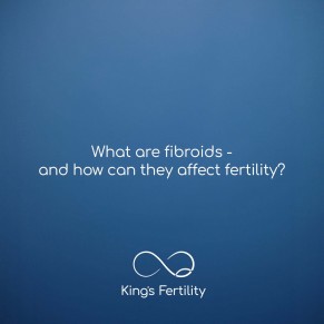 What are fibroids – and how can they affect fertility?