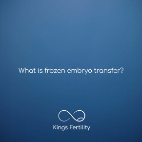 What is frozen embryo transfer?